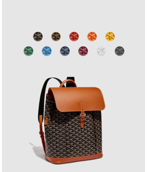 고야드 알핀 백팩 MM