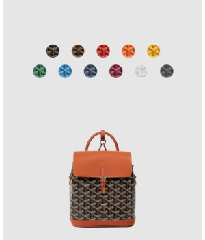 고야드 알팡 알핀 백팩 미니