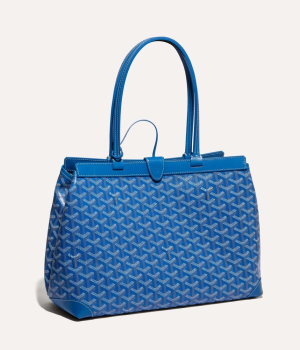 고야드 벨샤스 비유드 백 PM 블루