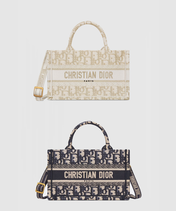 디올 오블리크 북토트백 미니 S5573