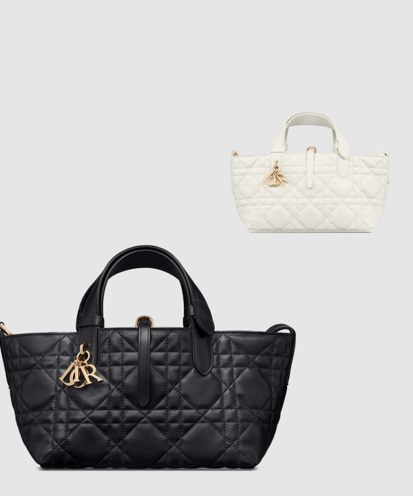 디올 뚜주흐 스몰 토트백 M2822