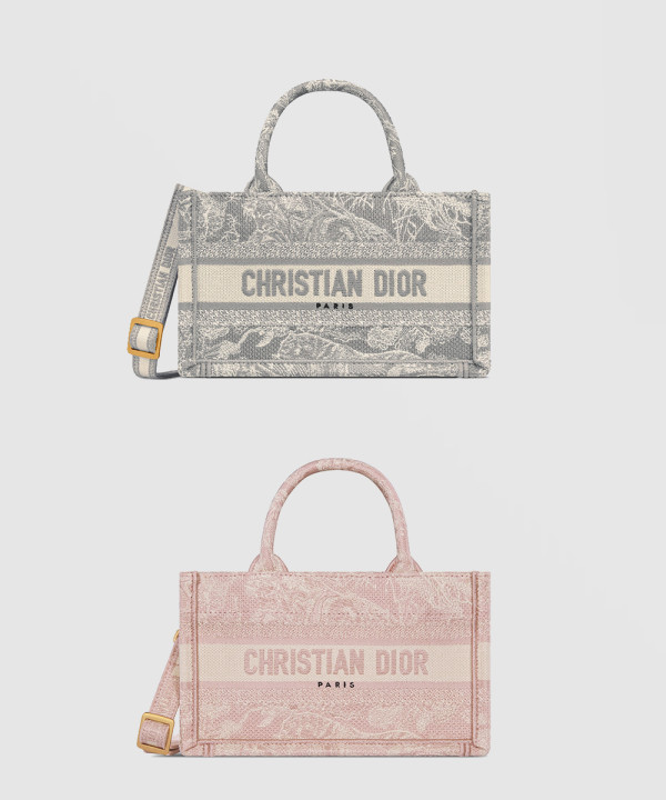 디올 오블리크 북토트백 미니 S5573