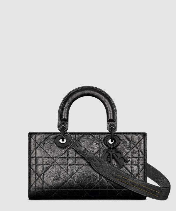 디올 레이디 디자이어 ABC 스몰 백 M1150