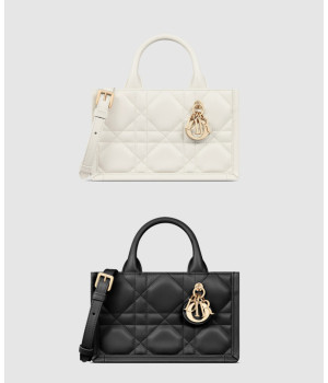 디올 오블리크 북토트백 미니 S5573