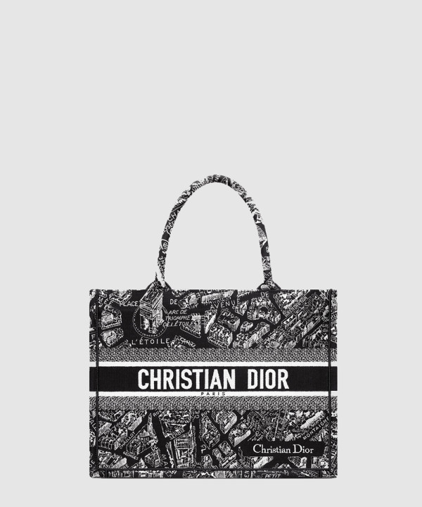디올 북 토트백 미디움 플랜 드 파리 M1296