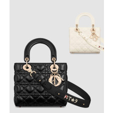 디올 레이디 마이 ABC 디올 스몰 백 M0538