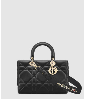 디올 레이디 디자이어 ABC 미디엄백 M1151