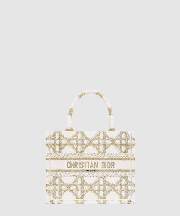 디올 북토트백 스몰 오블리크 M1265