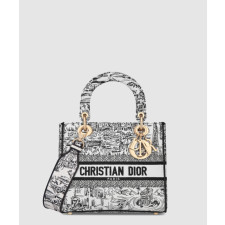 디올 미디움 레이디 디라이트 백 플랜 드 파리 M0565
