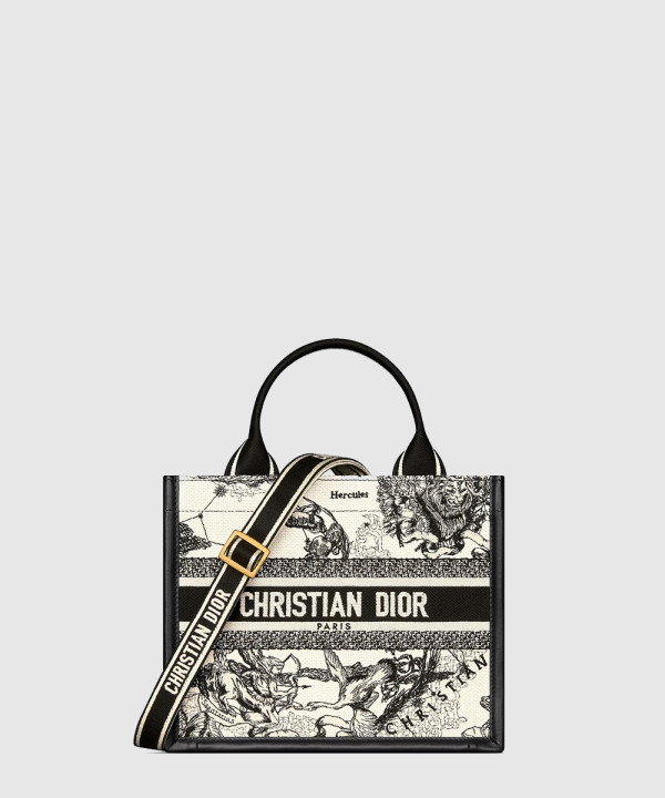 디올 레이디 스몰 북토트백 M1325