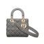 디올 레이디 디올 ABC 스몰 백 (스톤 그레이/까나쥬/램스킨)