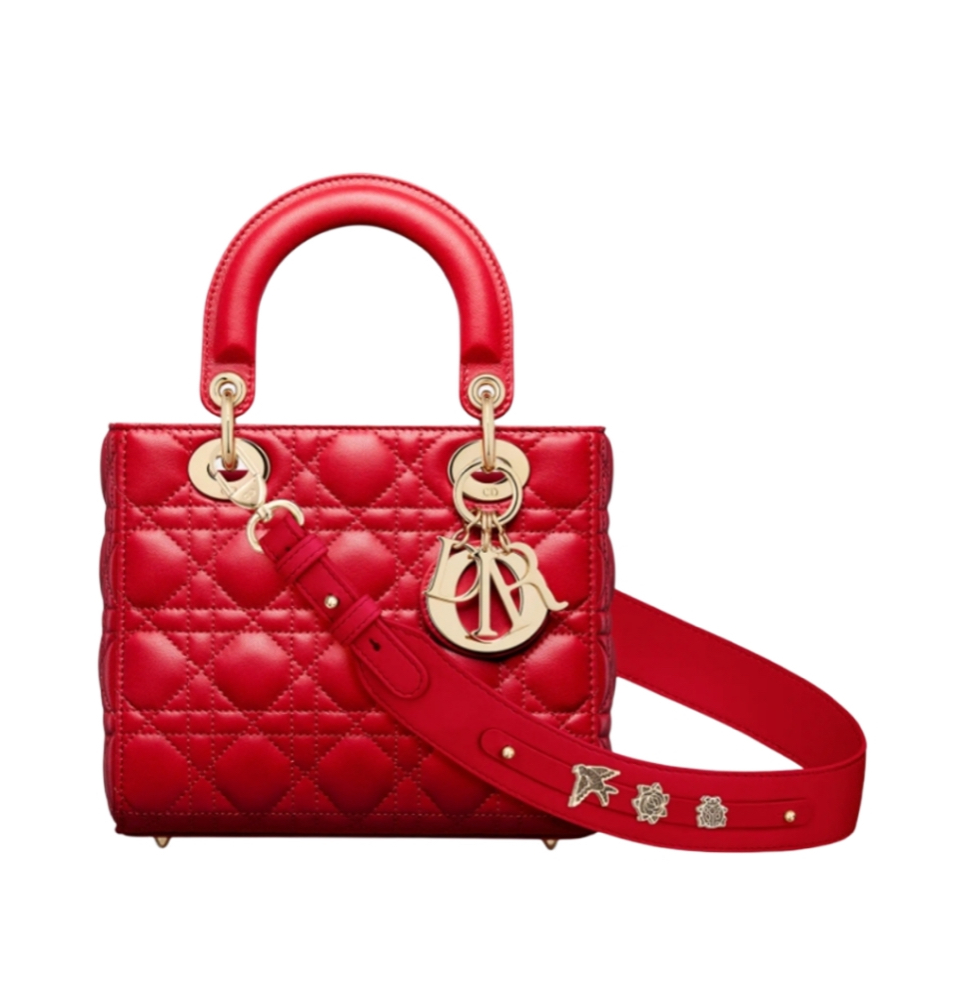 디올 레이디 디올 ABC 스몰 백 (레드/까나쥬/램스킨)