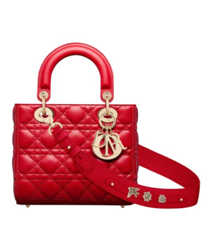 디올 레이디 디올 ABC 스몰 백 (레드/까나쥬/램스킨)