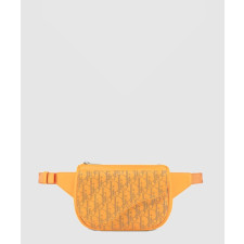 디올 월드 투어 벨트백 1ADPO