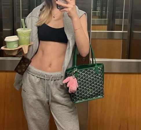 (국내배송) 고야드 수입 미니앙주 토트백