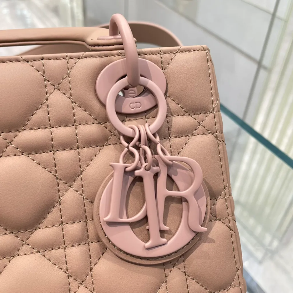 디올 ABC 레이디 디올 스몰 백 울트라 매트 블러쉬