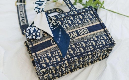 (국내배송) 디올 DIOR BOOK DOTE 스트랩 북도트 미니백