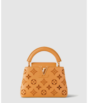 루이비통 카퓌신 미니 M22863