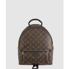 루이비통 팜 스프링스 백팩 MM M41561
