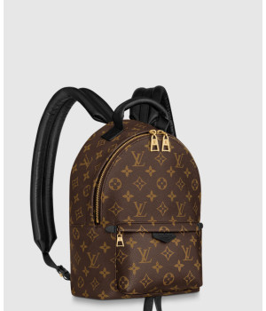 루이비통 팜 스프링스 백팩 PM M44871